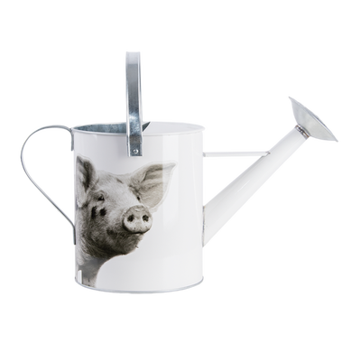 Regadera Metalica Animales de Granja Blanco y Negro